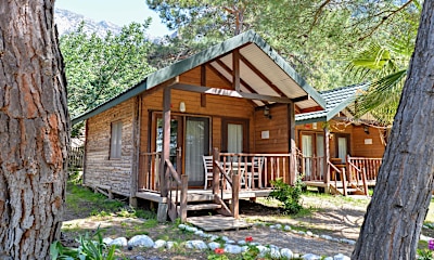 Olive House